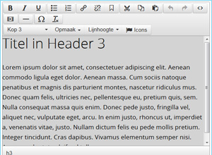 tekst editor